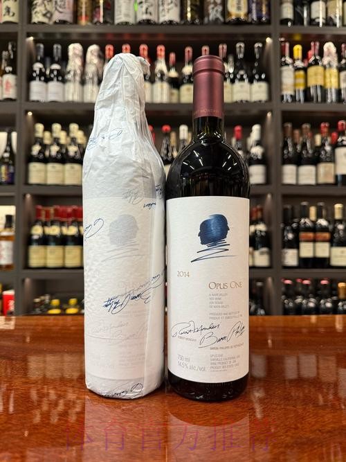 荣升法国入球王 宾施马炒「格」度佳节 荣升法国入球王 宾施马炒「格」度佳节